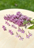 Lilac Stud - Hand Painted - Spring Blooms Acrylic Earrings